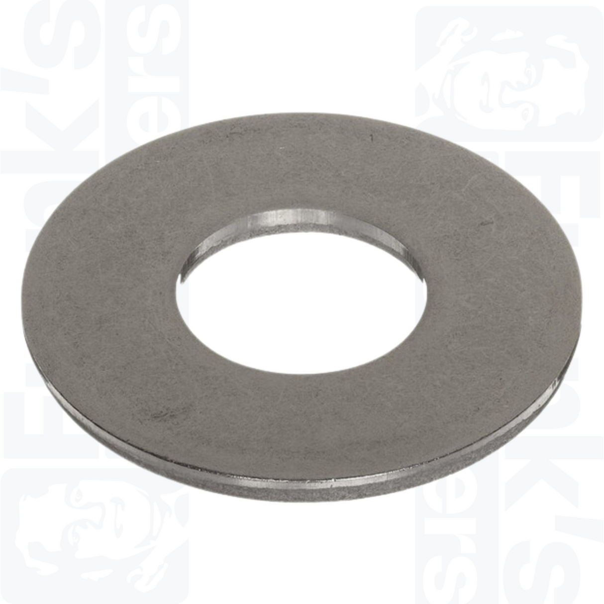 M4 x 15mm Penny Washers - Stainless Steel (A4)