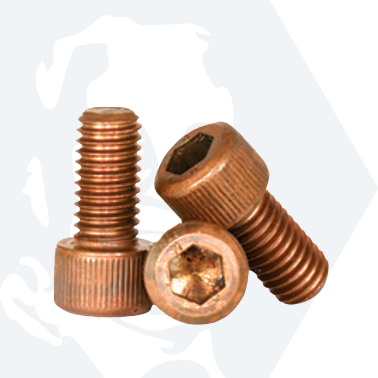 1/4" UNC x 1/2" Socket Cap Head Screws - Silicon Bronze