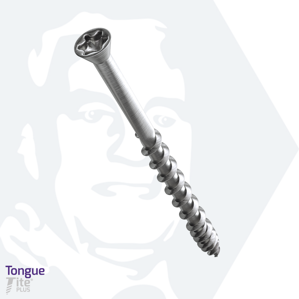 TONGUE-TITE® PLUS 3.5 x 60mm Tx Countersunk Screw - Stainless (Box of 200)