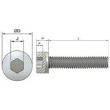 M6 Socket Cap Head Screws (DIN 912) - Zinc Plated Yellow Passivated (8.8)