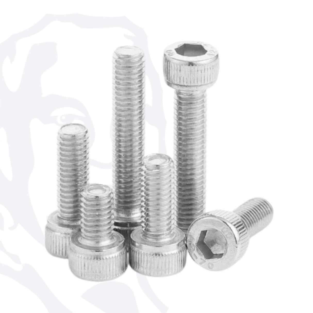 #10 UNC Socket Cap Head Screws - Stainless Steel (A2)